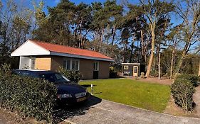 Fijne Plek Met Eigen Bos 2000M2 En Gratis Linnen En Handdoeken!!
