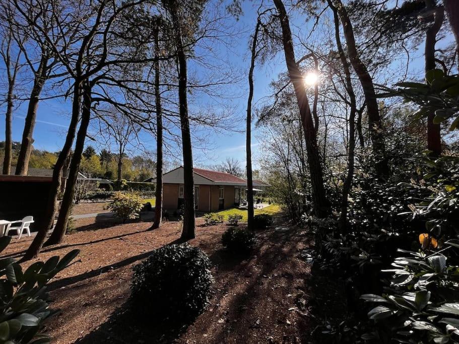 Fijne Plek Met Eigen Bos 2000M2 En Gratis Linnen En Handdoeken!! Denekamp Exterior foto